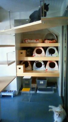 200908061538001.jpg