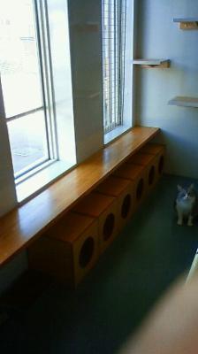 200908061539000.jpg