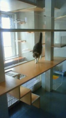 200908091031000.jpg