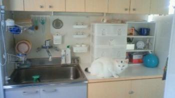 200908091036000.jpg