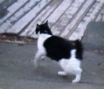 CIMG2848.jpg