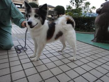 DSC08653.jpg