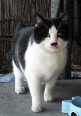 genkiCIMG1948.jpg