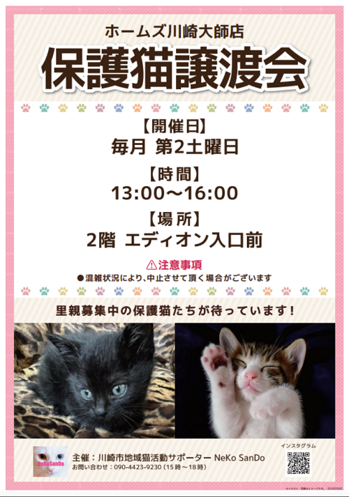 【引き取り限定( 川崎市 )】キャットホイール キャットホイールの中古が安い！激安で譲ります・無料であげます
